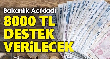 Bakanlıktan açıklama: 8000 TL destek verilecek!