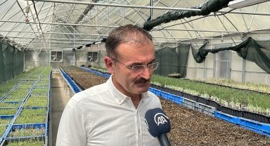 Bal ormanlarının bitkileri iklim dostu seradan