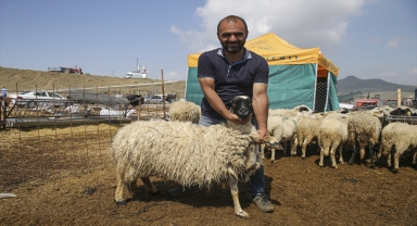 Başkentte bayramın ikinci günü kurban pazarlarındaki yoğunluk devam etti