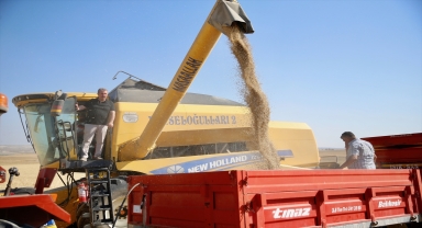 BBP Genel Başkanı Destici, baba ocağında biçerdöverle arpa hasadı yaptı: