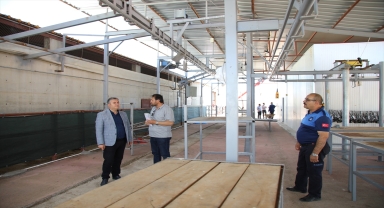 Çubuk'ta 118 kurban kesim yerine geçici ruhsat verildi