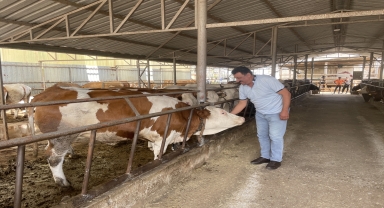Dolandırıcılara kurbanlıklarını kaptıran besici, 6 yıl sonra şüphelilerin yakalanmasıyla teselli buldu