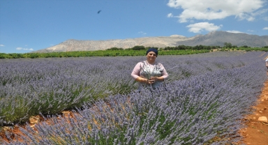 Elmalı'da kurulan lavanta bahçesi ziyaretçilerini ağırlıyor
