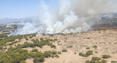 Antalya'da çıkan orman yangını kontrol altına alındı
