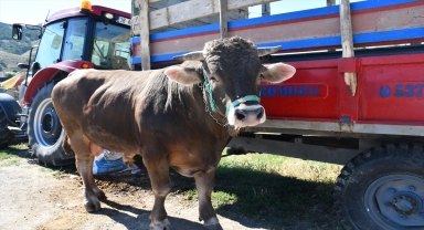 İç Anadolu'daki hayvan pazarlarında yoğunluk yaşanıyor