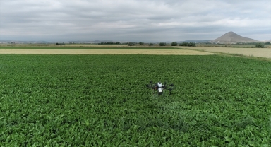 Ilgın Belediyesinden drone ile ücretsiz ilaçlama desteği