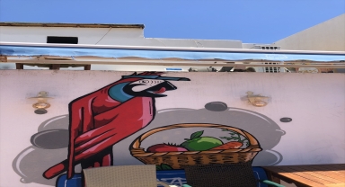 istegelsin Bodrum’un kırmızı papağanlarını sahiplendi