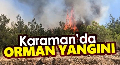Karaman'da çıkan orman yangınına müdahale ediliyor