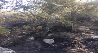 Karaman'da çıkan orman yangınına müdahale ediliyor