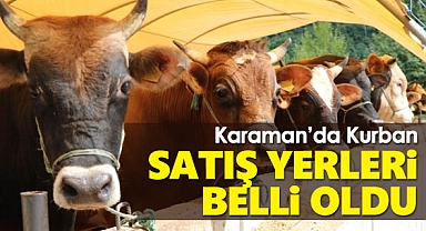 Karaman'da Kurban Satış Yerleri Belli Oldu