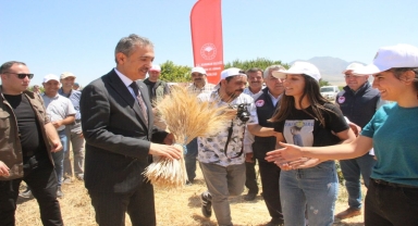 Karaman Valisi Akkoyun buğday hasadına katıldı