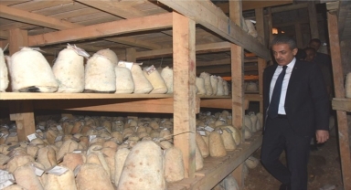 Karaman Valisi Akkoyun Divle Obruğunu gezdi