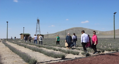 Karapınar'ın lavanta tarlasına yerli turist akını 