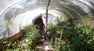 Kazı başkanı 5 bin 300 yıllık Kültepe'de doğayla iç içe yaşıyor