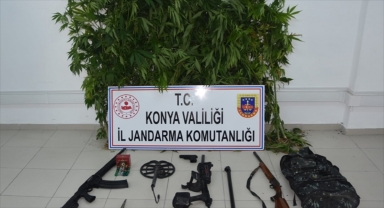 Konya'da 43 kök Hint keneviri ele geçirildi