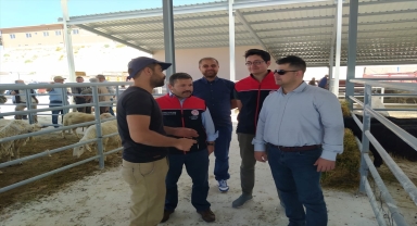 Kurban Bayramı dolaysısıyla hayvan pazarında denetim yapılıyor