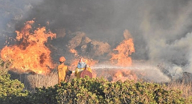 Muğla'da orman yangını: Rüzgarın etkisiyle yayıldı!