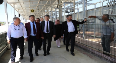 Pursaklar Belediye Başkanı Çetin'den kurbanlık satış ve kesim alanında inceleme