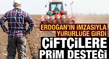 Resmi Gazete'de yayımlandı: Çiftçilere prim desteği ödenecek