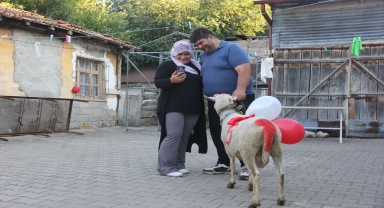 Sivas'ta nişanlı kızın evine kurbanlık koç götürme geleneği yaşatılıyor