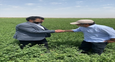 Sivas'tan Irak'a 25 ton daha solucan gübresi ihraç edildi