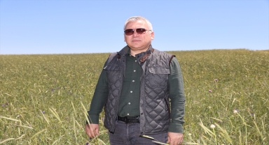 Sivas Valisi Şimşek, tırpan sallayıp hasat yaptı 