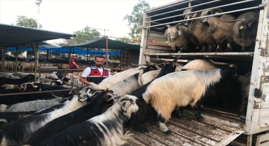 Sosyal medyadan tanıştıkları kişinin keçilerini satan 2 kişi yakalandı