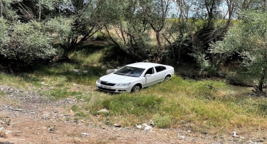 Sürücüsünü arı sokan otomobilin şarampole girmesi sonucu 4 kişi yaralandı