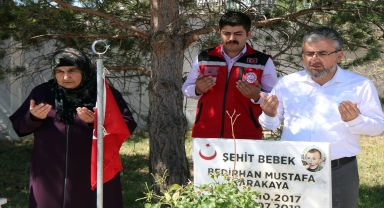 Teröristlerin katlettiği şehit Bedirhan bebek ve annesi Sivas'ta anıldı