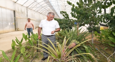 Vali Yazıcı, tarımsal üretim yapan firmaları ziyaret etti