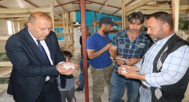 Yozgat'ta hibe desteğiyle üretilen koza çiftçilere ek gelir sağlıyor