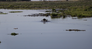 Annesinin düğün hediyesi 