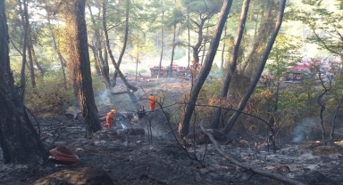 Antalya'da çıkan orman yangını havadan ve karadan müdahaleyle söndürüldü