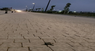 Antalya'da deniz yerine caddeye yönelen caretta carettalar telef oldu