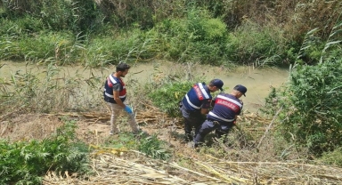 Antalya'da Hint keneviri yetiştirdiği öne sürülen kişi yakalandı