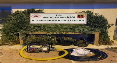Antalya'da ormanlık alanda uyuşturucu ele geçirildi