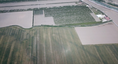 Antalya'da Tarım Teknokenti oluşturulacak