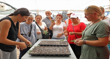 Antalya'da tıbbi aromatik bitki yetiştiriciliği kursuna ilgi artıyor 