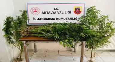 Antalya'da uyuşturucu operasyonunda 2 kişi yakalandı