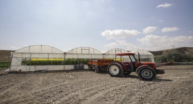 Ata tohumundan yüksek proteinli domates suyu için kadın girişimciler kolları sıvadı