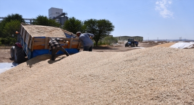 Buğday rekoltesinin arttığı Sivas'ta belediye arazisi TMO'nun kullanımına açıldı