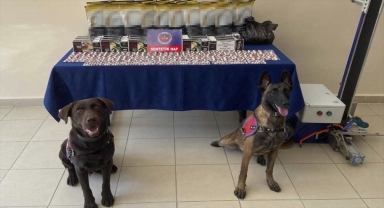 Çankırı'da uyuşturucu operasyonunda 2 zanlı tutuklandı