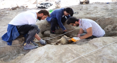 Canlı fosili literatürüne girecek yeni tür 