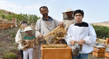 Devlet desteğinden yararlanan bal üreticisi rekolte beklentisini 10 tona çıkardı