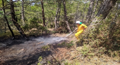 Eskişehir'de yıldırım düşmesi sonucu çıkan orman yangını söndürüldü