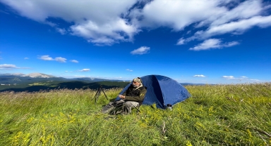 Ilgaz Dağı ağustosta ilkbaharı yaşıyor