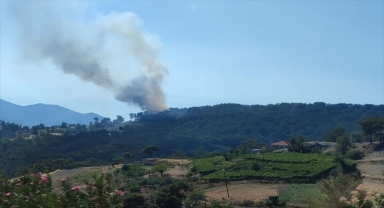 Kaş'ta ormanlık alanda yangın çıktı