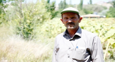 Kayseri'de çerezlik ayçiçeği ekimi yaygınlaşıyor