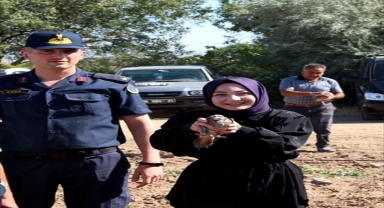 Kırşehir'de 12 yılda 6 bin 825 kınalı keklik doğaya bırakıldı