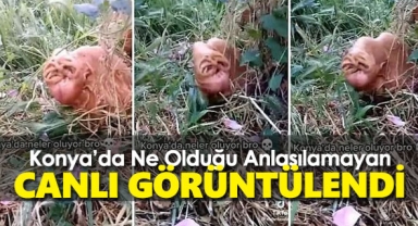 Konya'da ne olduğu anlaşılamayan bir canlı görüntülendi